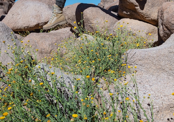 a man with a backpack is running on rocks