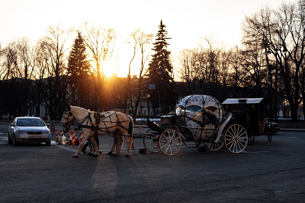 a horse drawn carriage in a parking lot