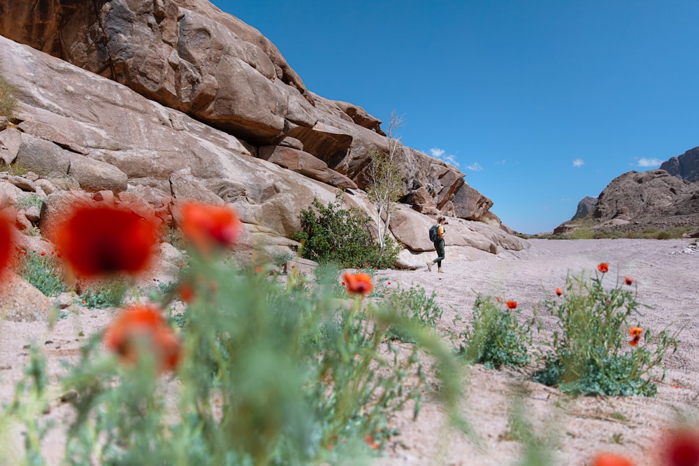 a man standing in the middle of a desert