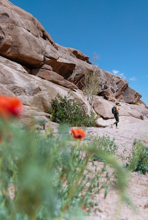 a man standing in the middle of a desert