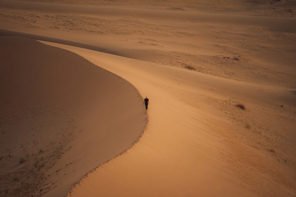 a lone person walking in the middle of a desert