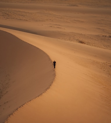 a lone person walking in the middle of a desert