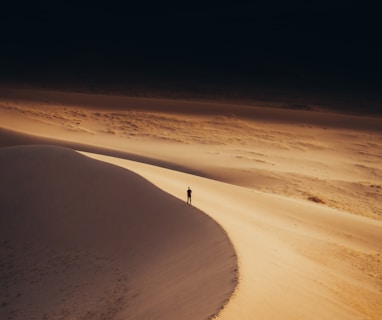 a lone person standing in the middle of a desert