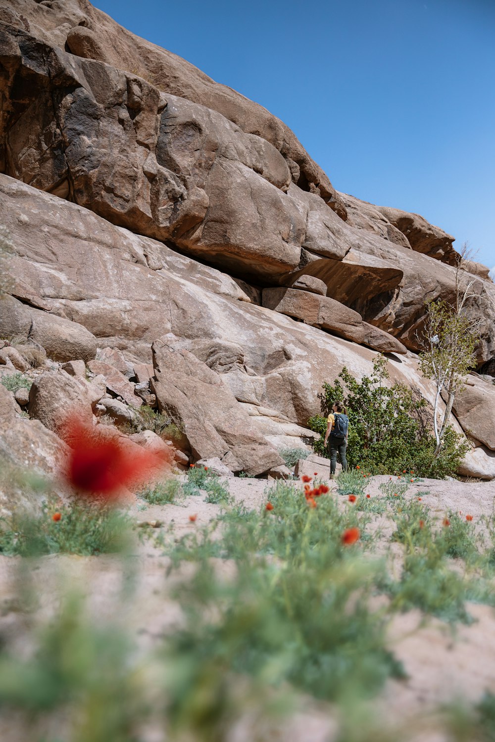 a person standing in the middle of a rocky area