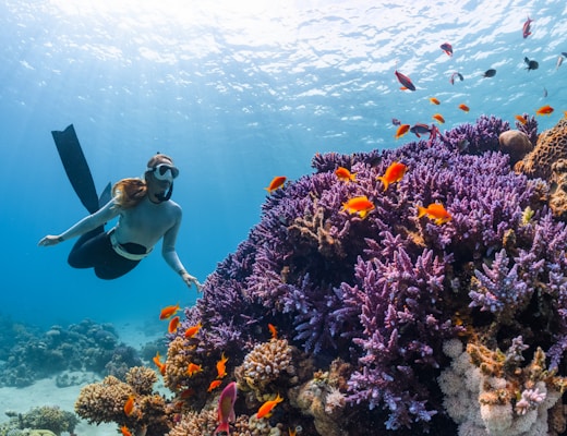 a woman scubas over a colorful coral reef