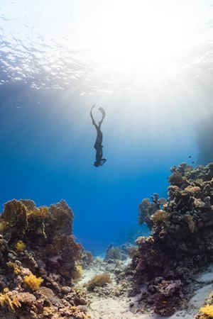 A person is swimming in the water near a coral reef