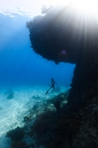 a person in a wet suit is swimming in the ocean