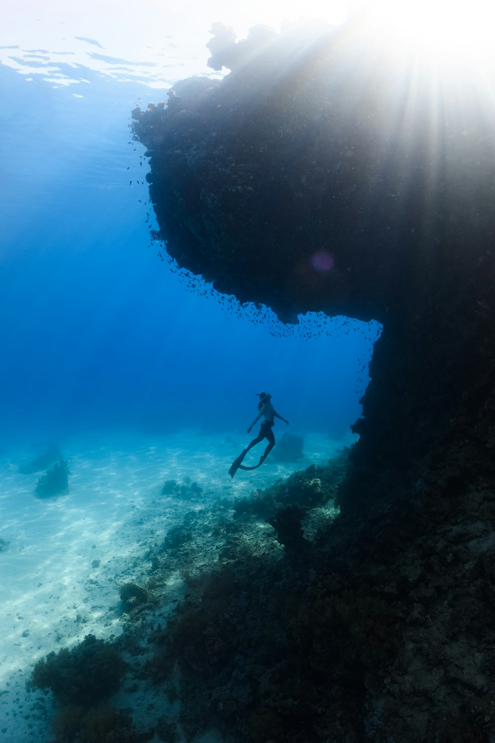 Eine Person in einem Neoprenanzug schwimmt im Meer