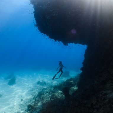 a person in a wet suit is swimming in the ocean