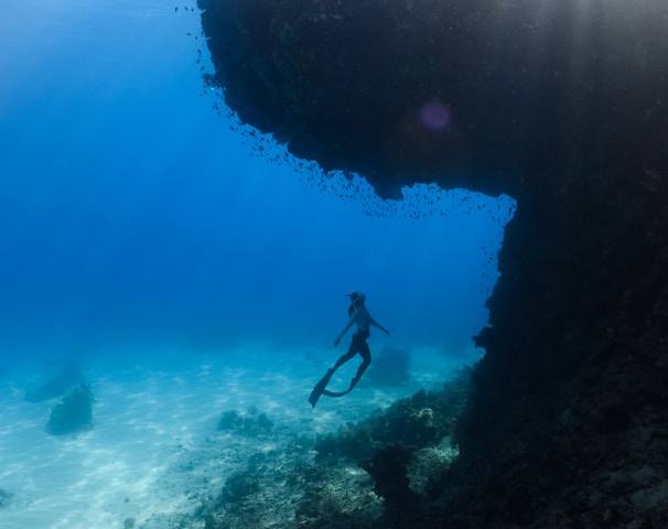 a person in a wet suit is swimming in the ocean