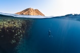 A clear division between underwater and above water is shown with a rocky landscape emerging from the sea. Underwater, a person is swimming near a coral reef. Sunlight permeates the ocean, illuminating the underwater scene.