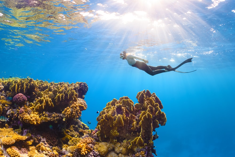 a person swimming in the water near a coral reef