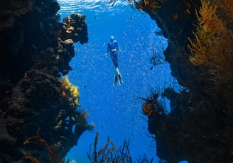 a person swimming in the ocean surrounded by seaweed