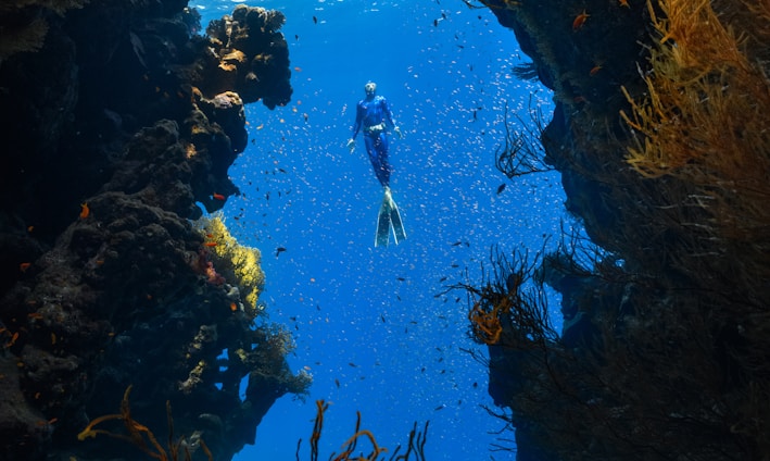 a person swimming in the ocean surrounded by seaweed