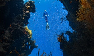 a person swimming in the ocean surrounded by seaweed