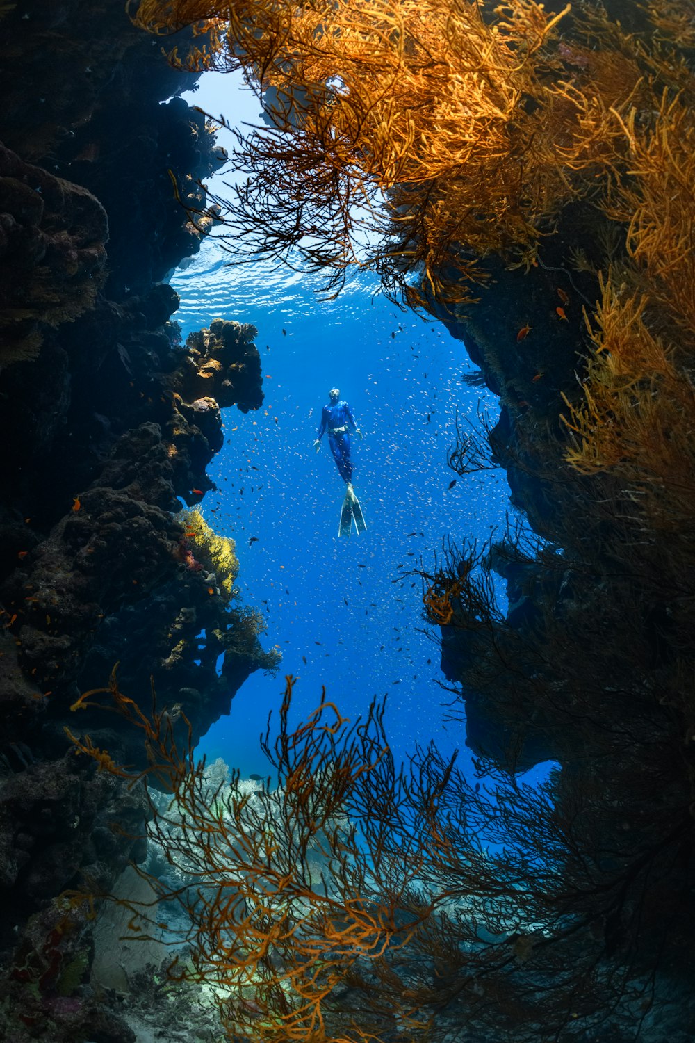 a person swimming in the ocean surrounded by seaweed