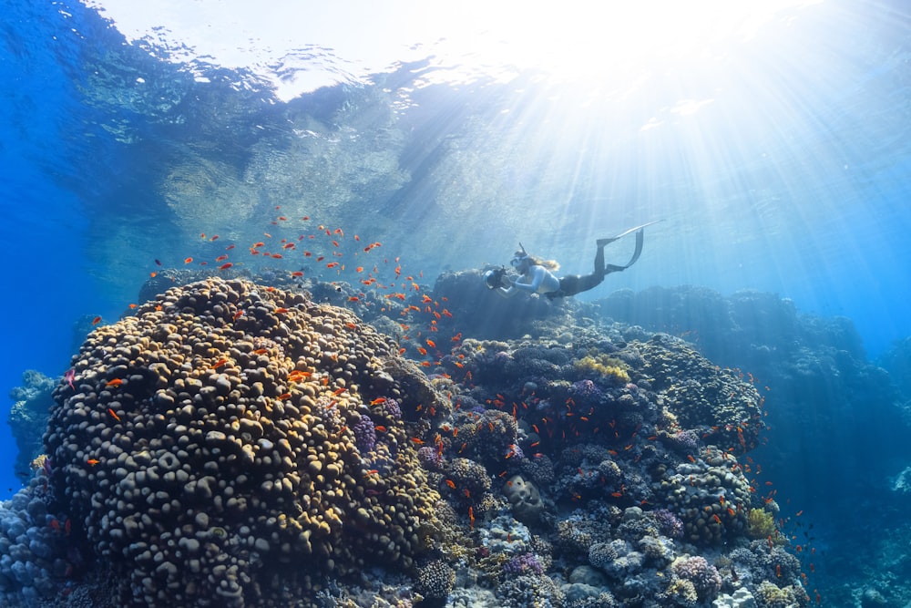 Una persona che nuota su una barriera corallina nell'oceano