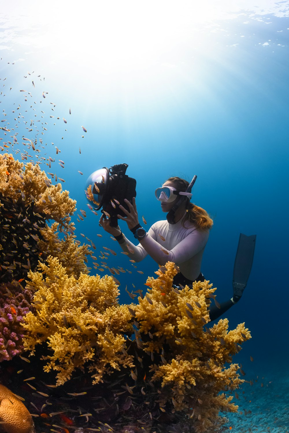 한 여자가 산호초 사진을 찍고 있다