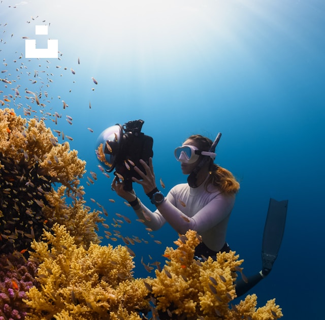 UnsplashのNEOMが撮影した写真