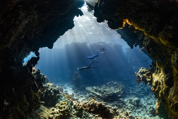 Divers exploring together underwater