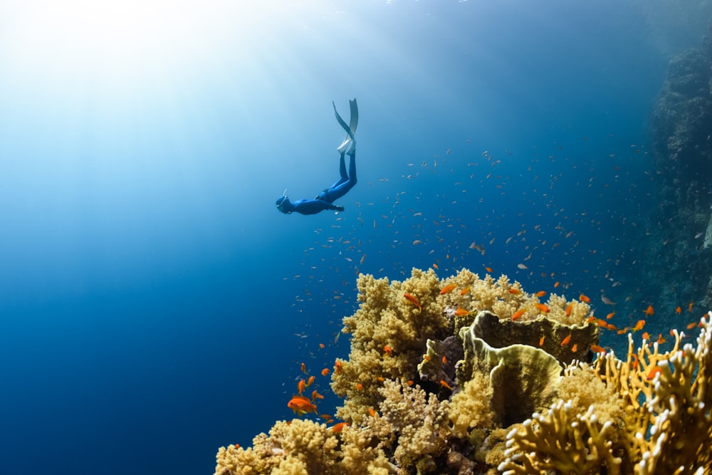 海のサンゴ礁の上を泳ぐ人