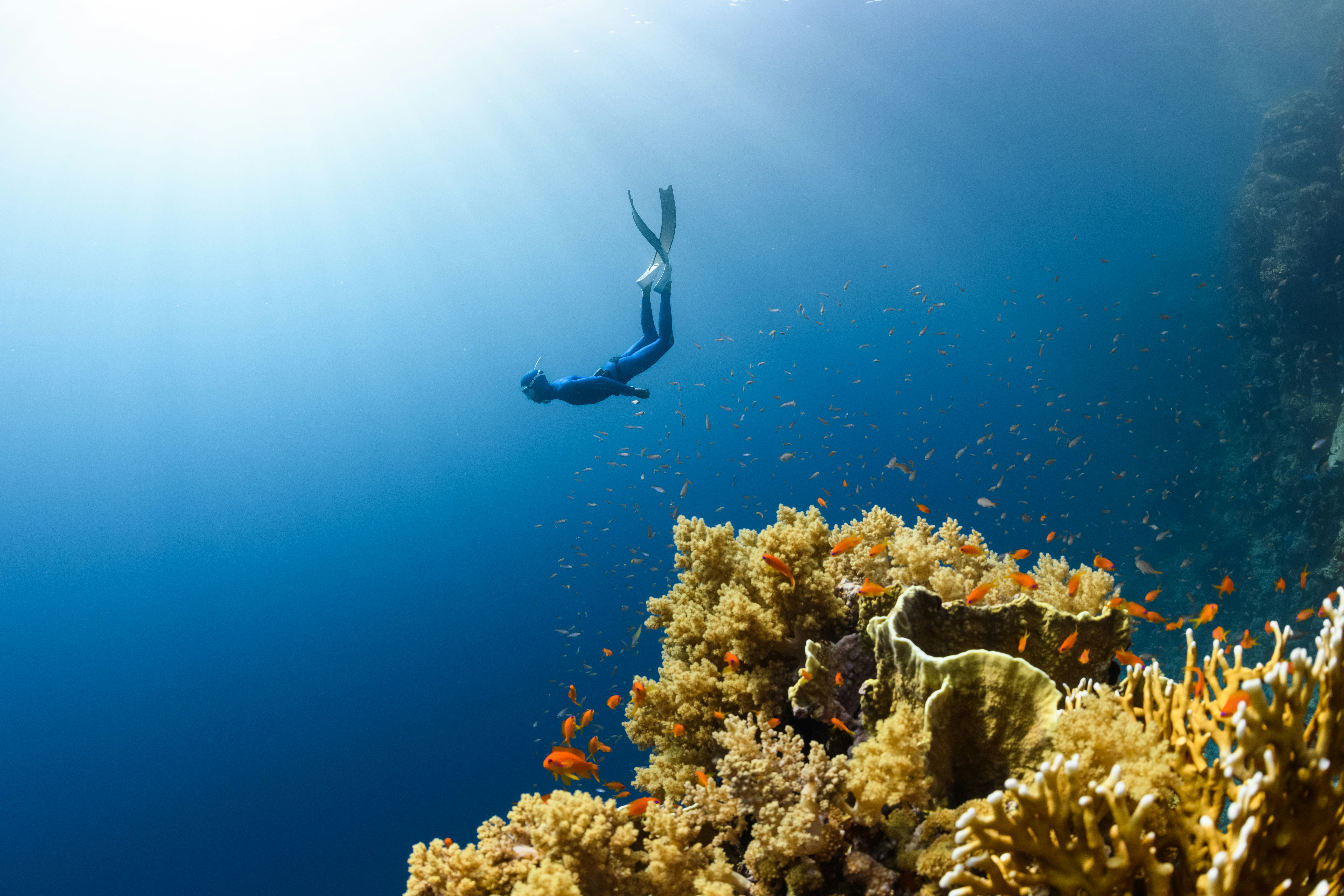 More Pixels, Worse Photos: The Underwater Truth About Megapixel Marketing