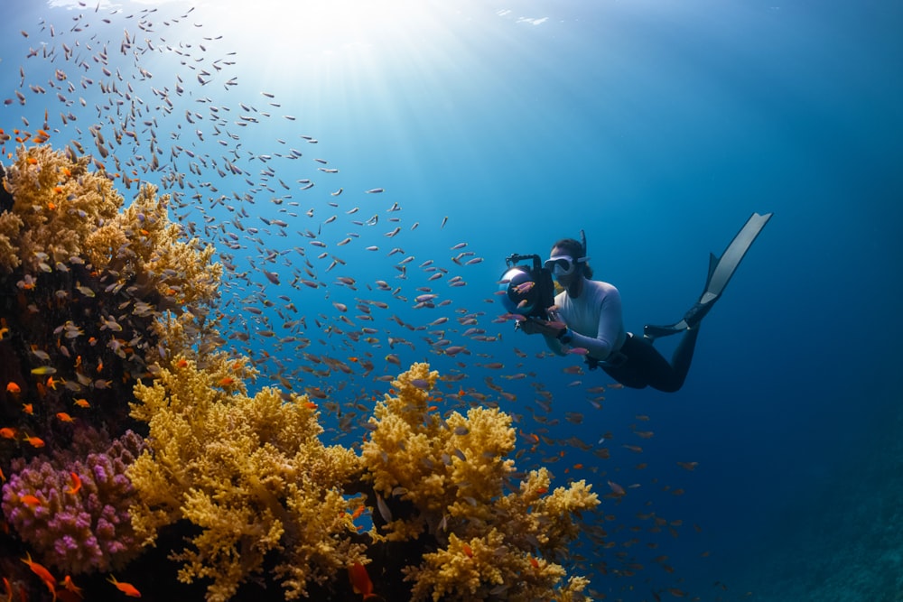 eine Person, die mit vielen Fischen im Meer schwimmt