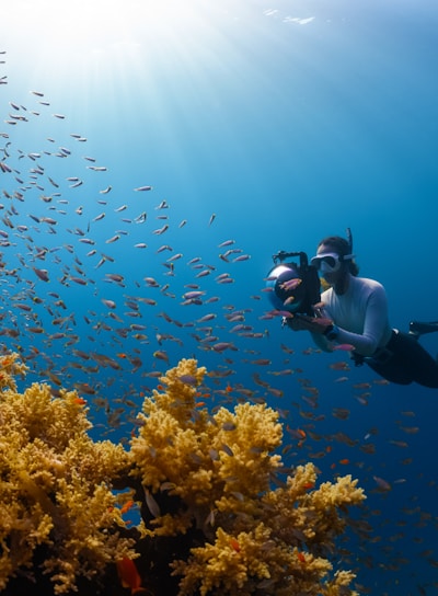 a person swimming in the ocean with a lot of fish