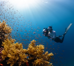 a person swimming in the ocean with a lot of fish