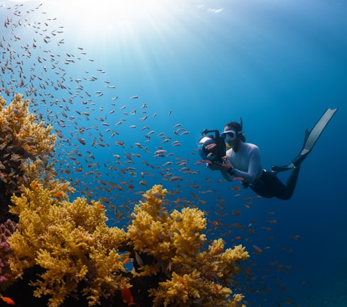 a person swimming in the ocean with a lot of fish