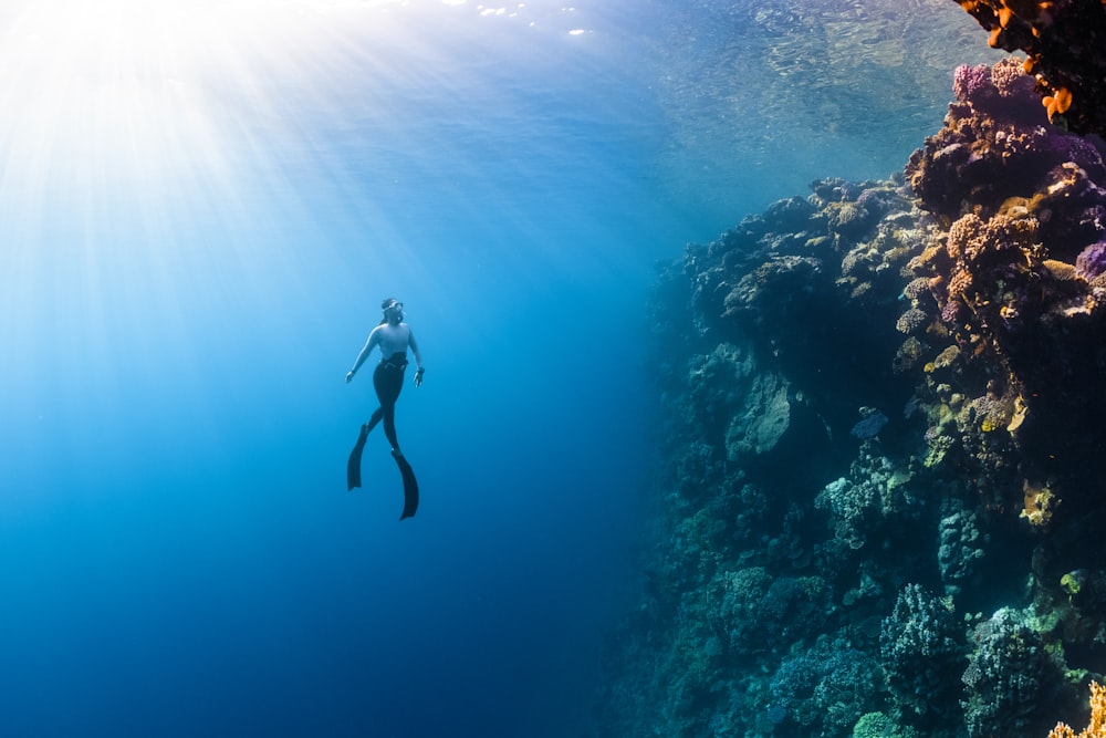 a person swimming in the ocean near a coral reef
