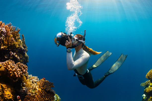 A freediver underwater surrounded by colorful marine life, capturing the serene beauty beneath the waves.