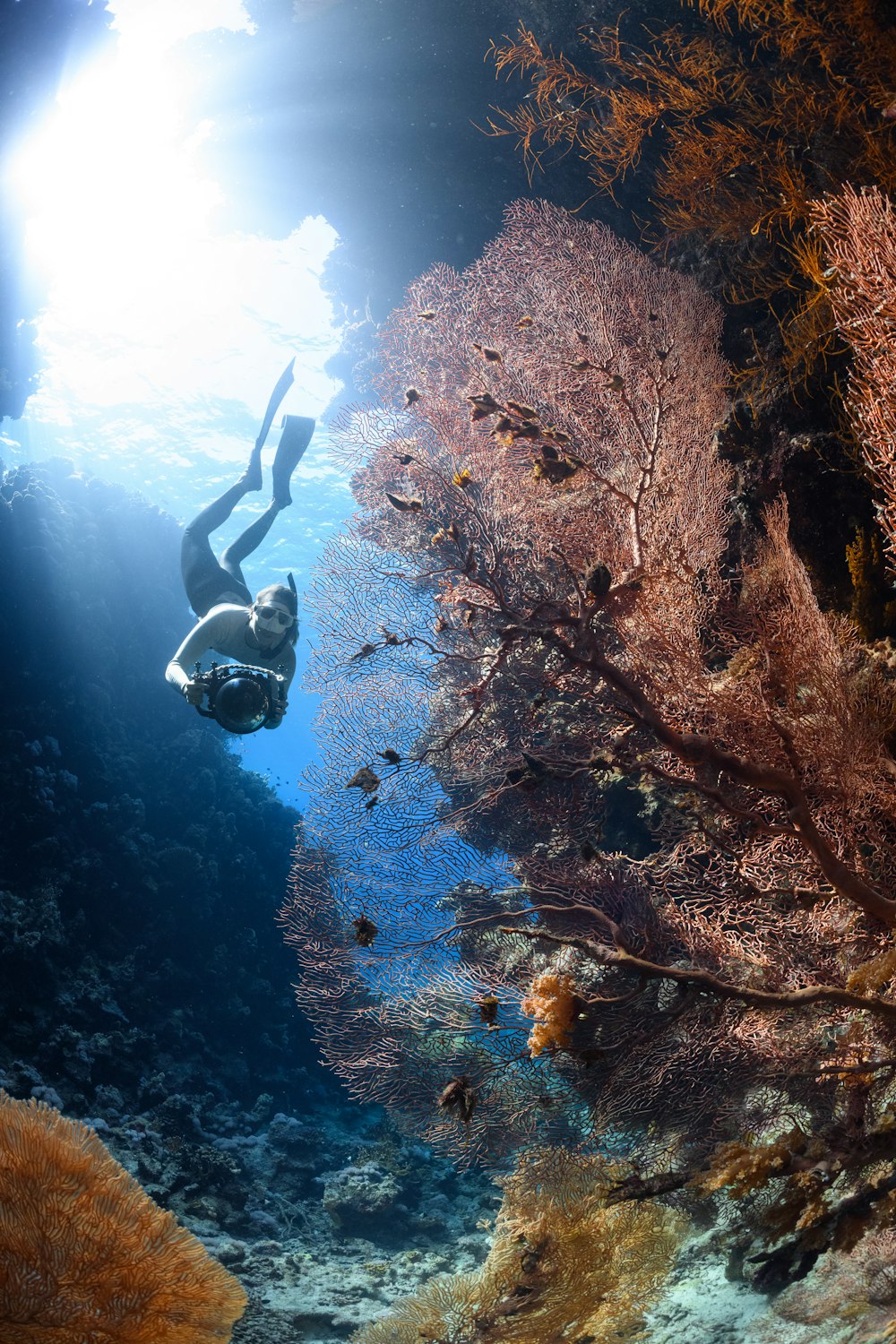 una persona nadando en un cuerpo de agua