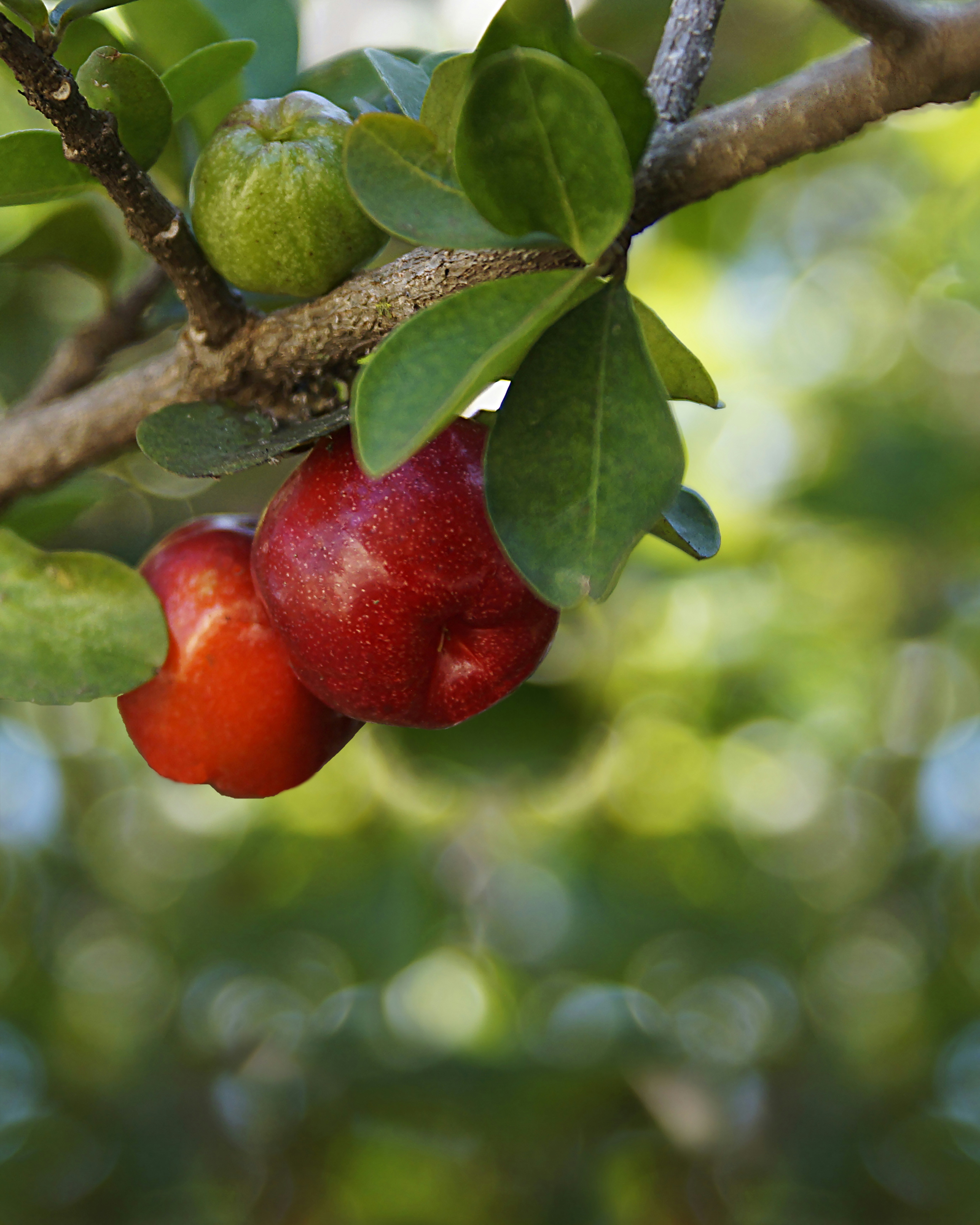 Photo by acrisiometalphoto