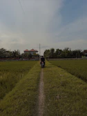 A traveler riding a motorbike through lush green hills in Lang Son at sunrise