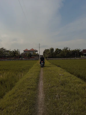 A traveler riding a motorbike through lush green hills in Lang Son at sunrise