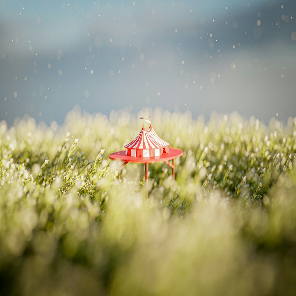 a small red and white tent in a field of grass
