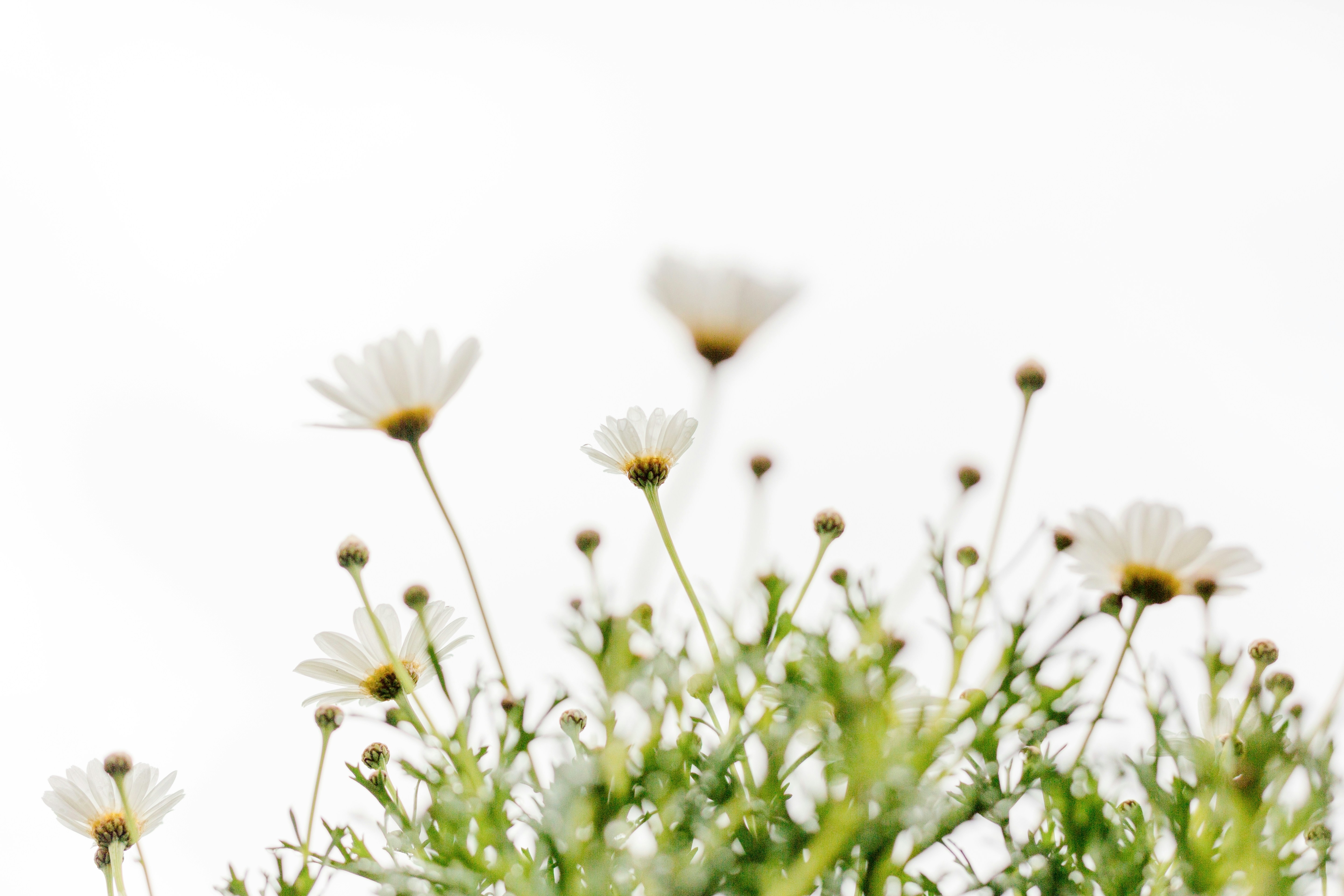 Photo by nataliekinnear