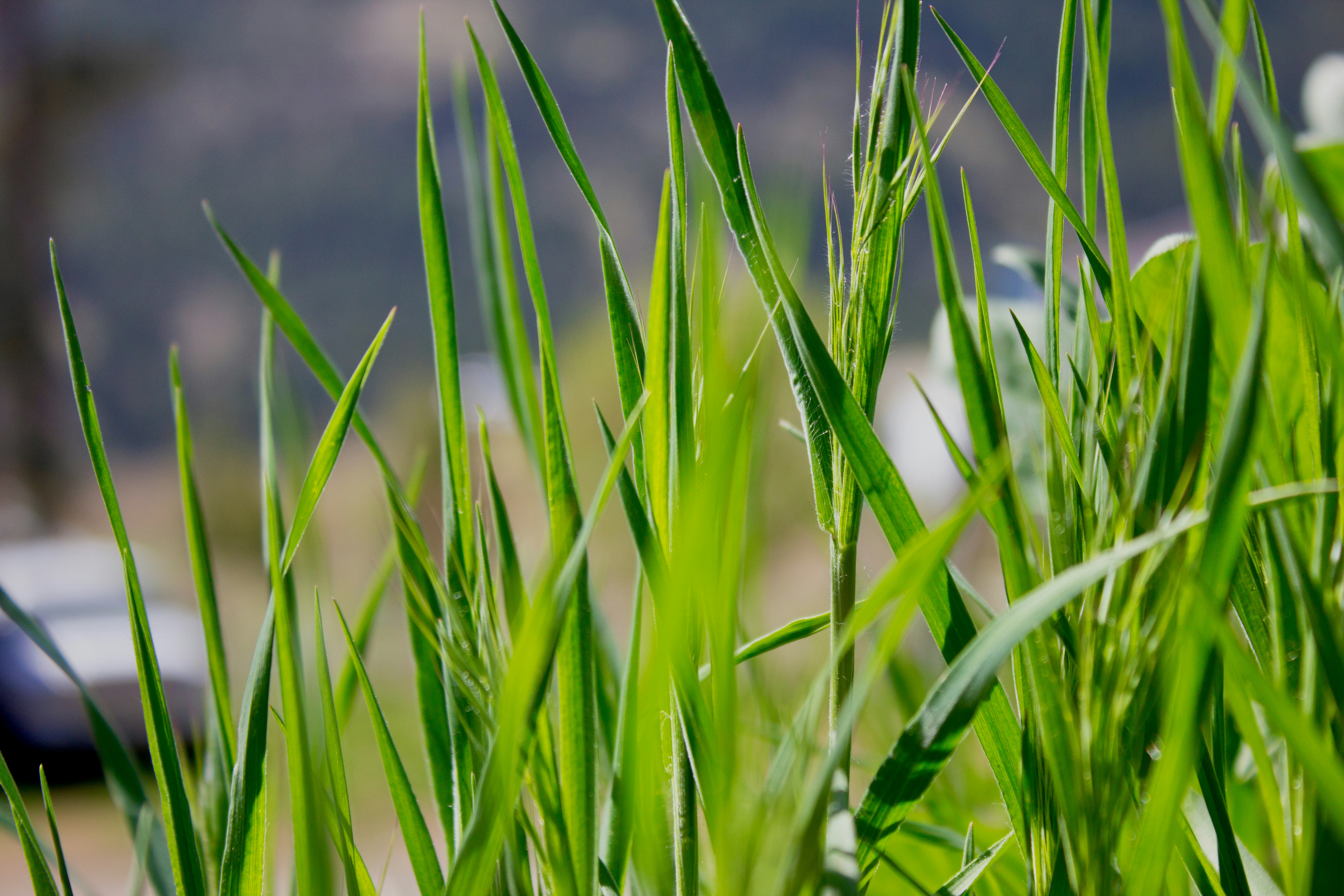 Photo by dcanadianphotographer