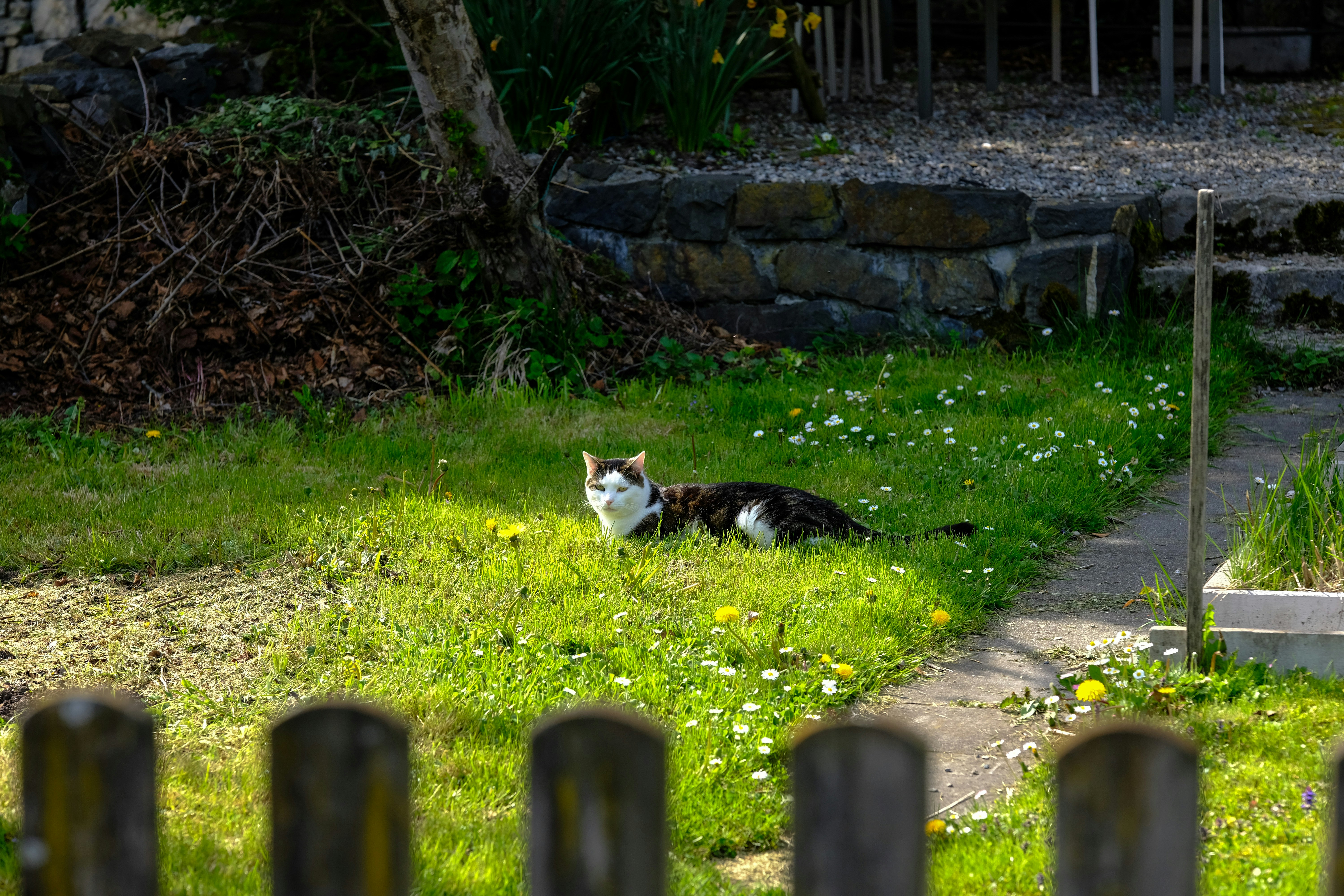 Photo by zband_bahmut