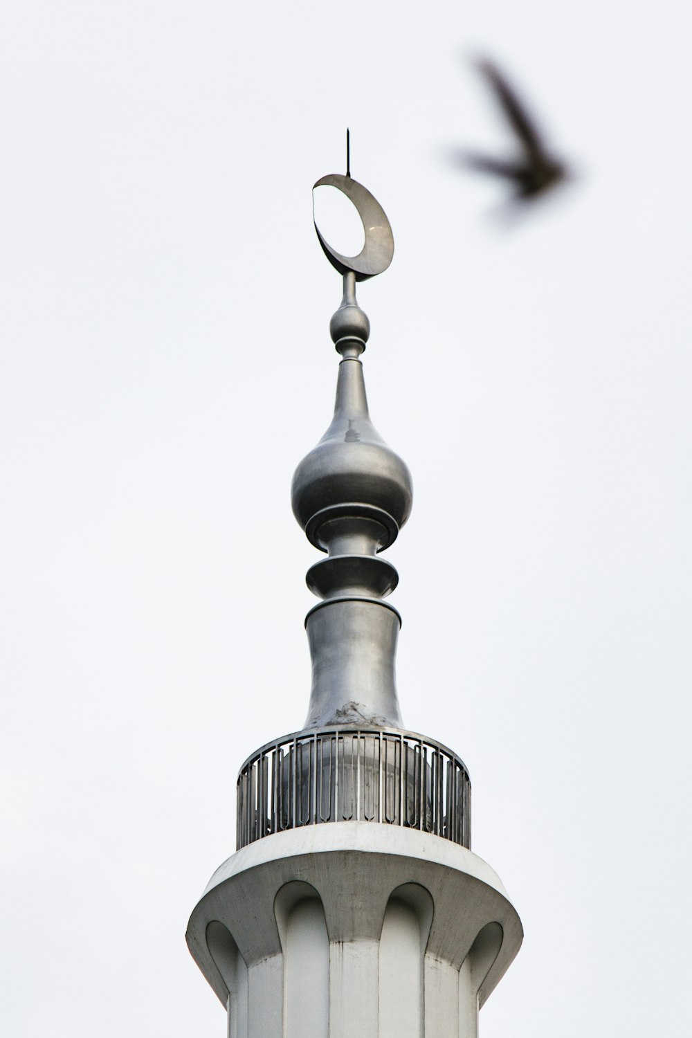 a bird is flying over a tall building