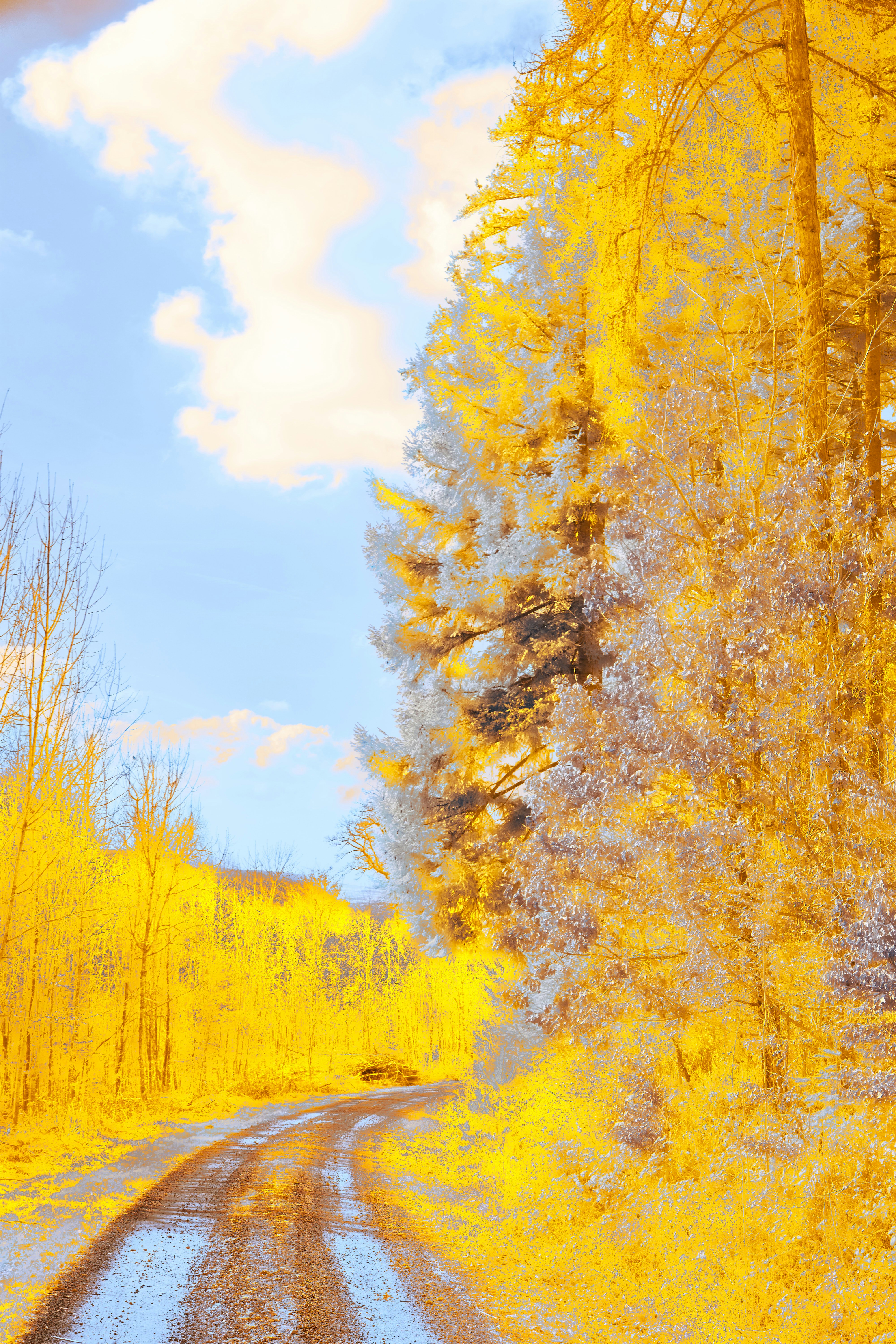 Photo by wolfgang_hasselmann