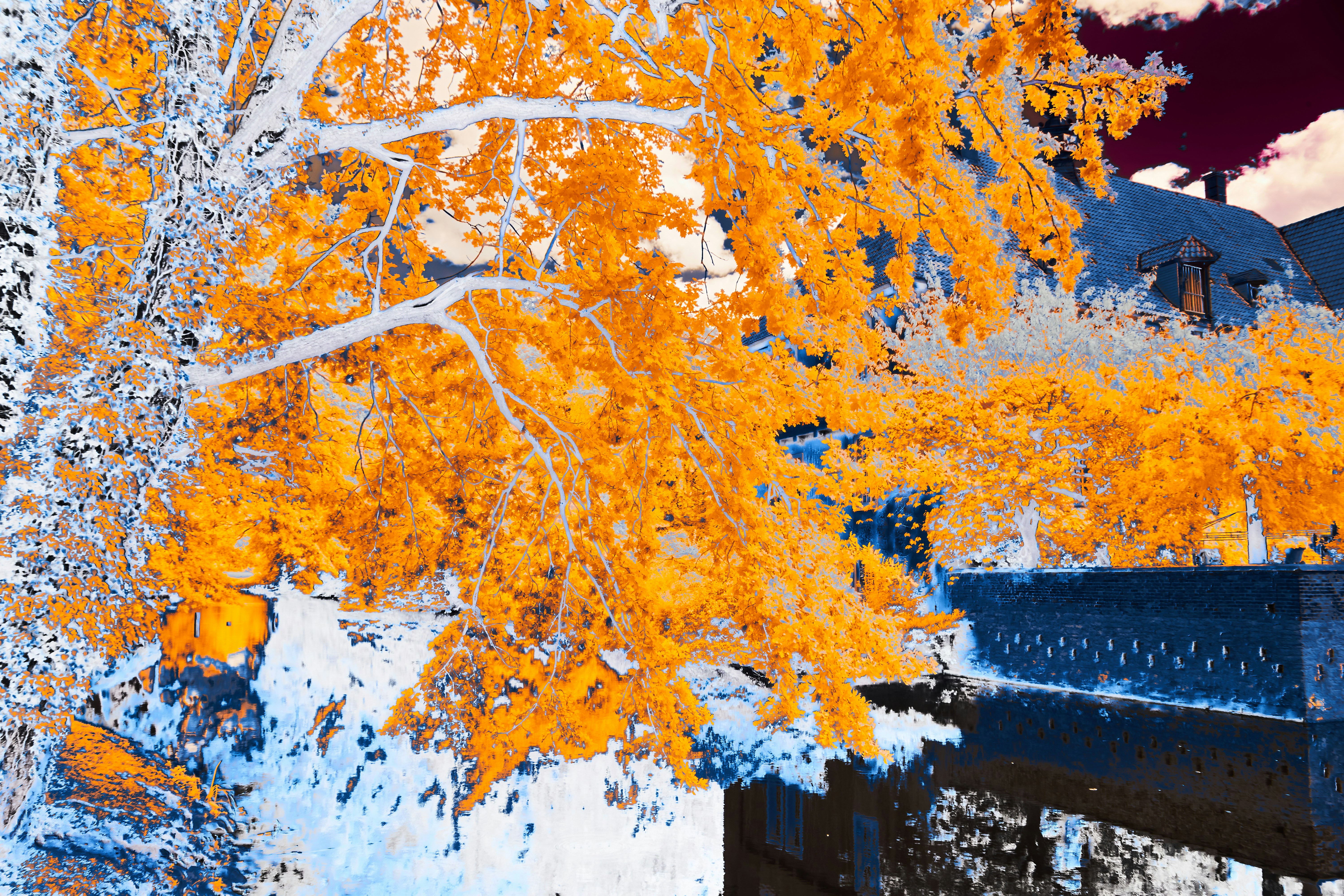 Photo by wolfgang_hasselmann