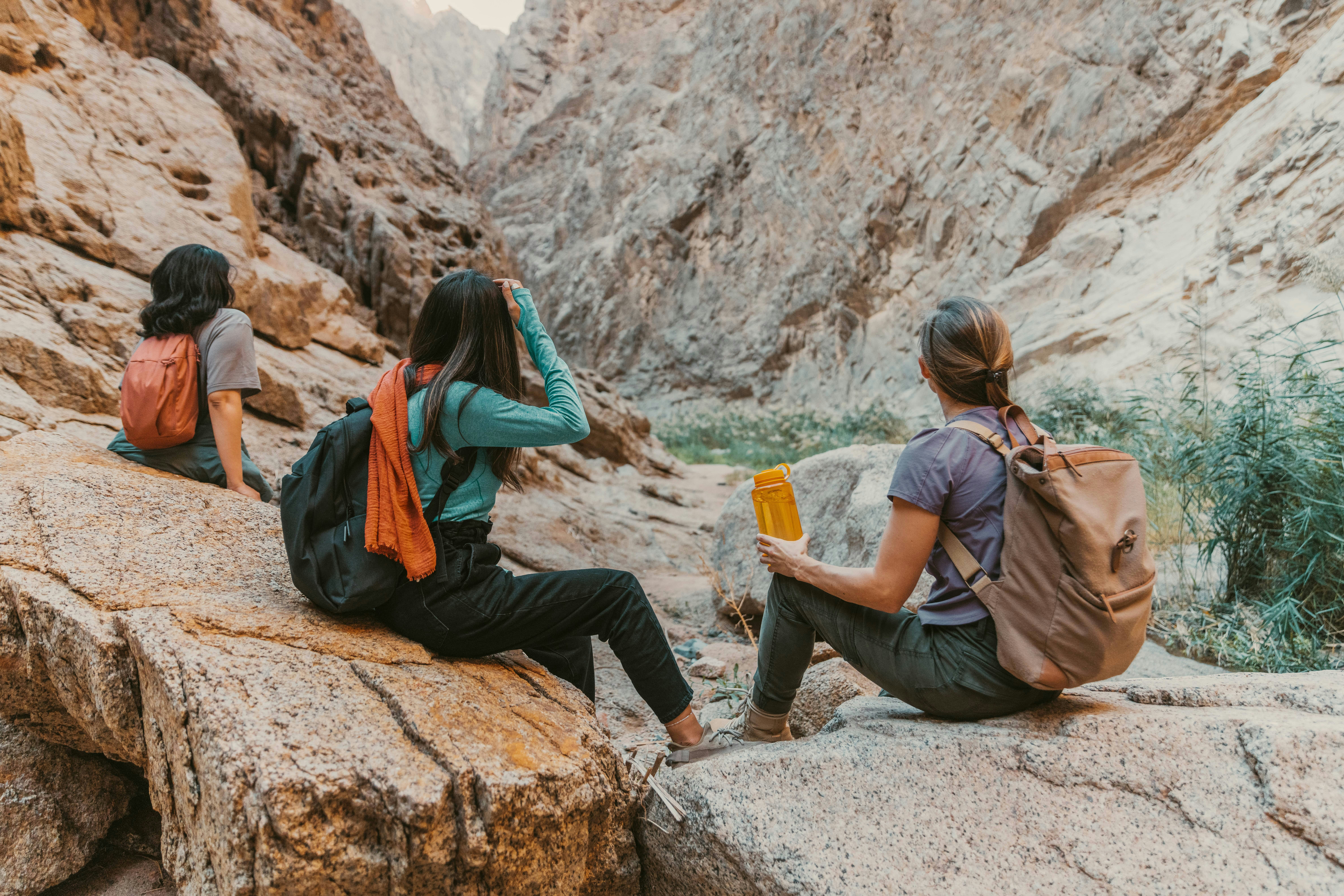 What Are The Best Ways To Find Or Collect Drinking Water In The Wild?
