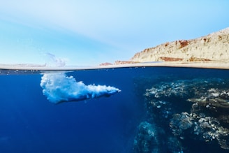 an underwater view of person diving in the ocean