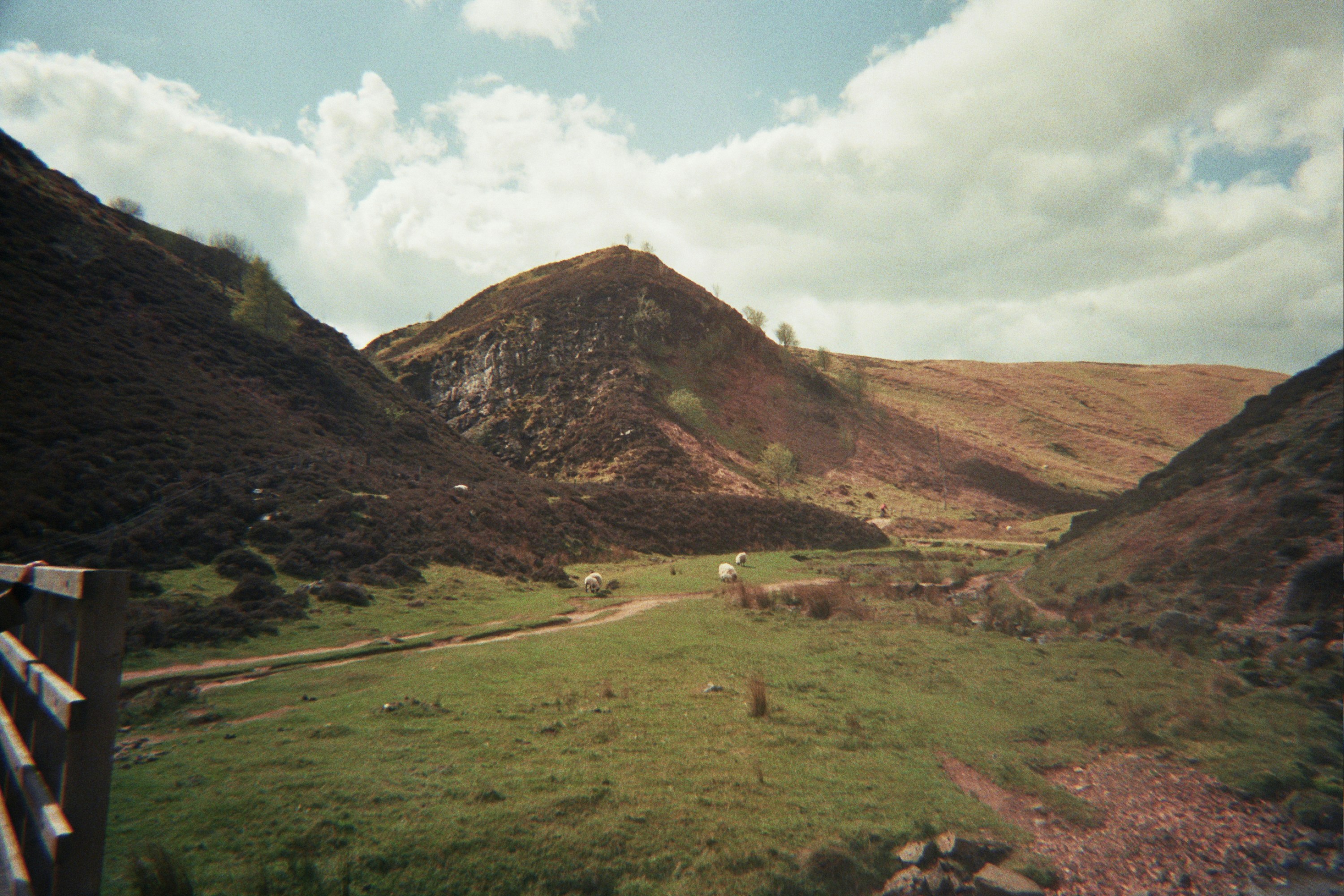 Photo by rossetijger