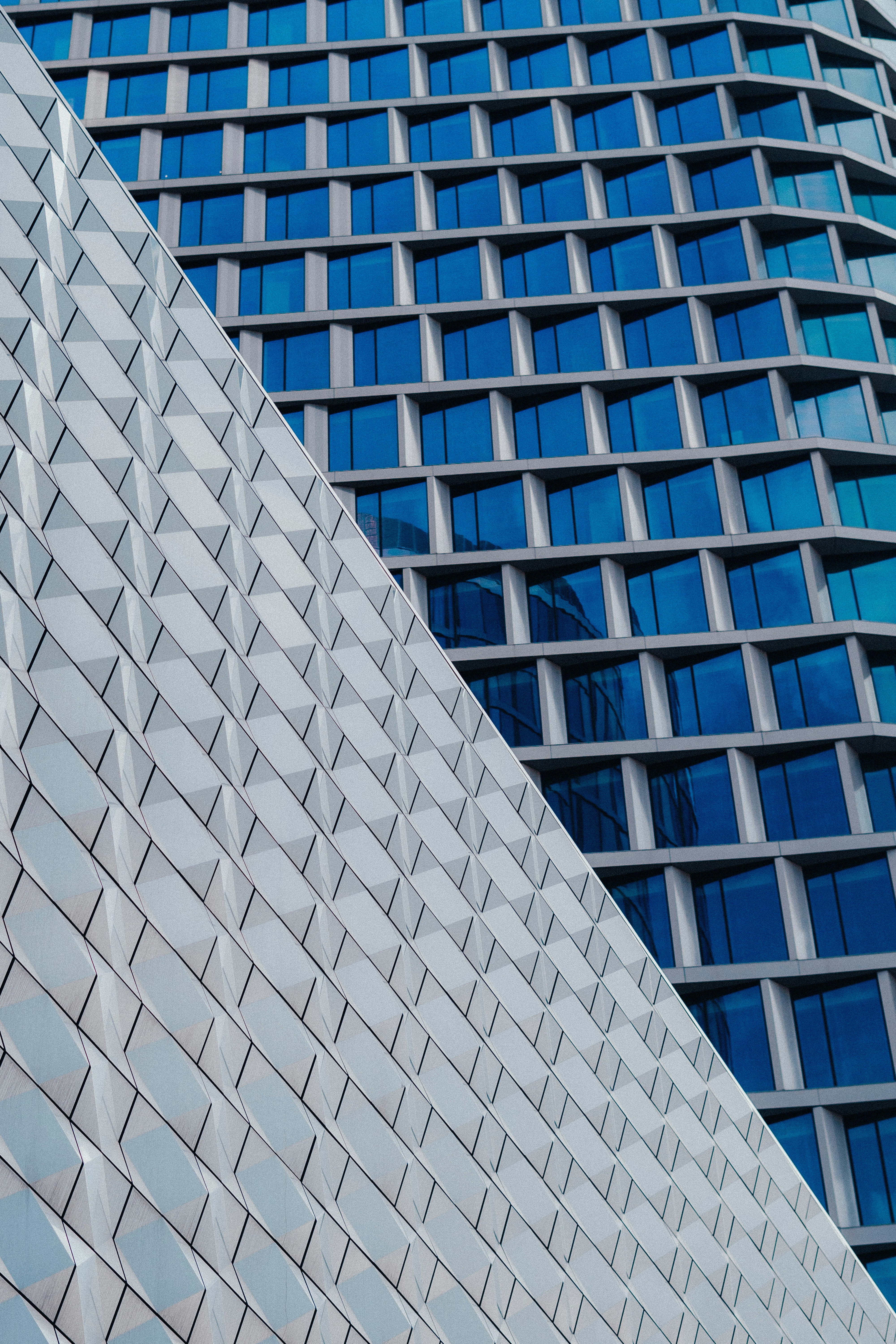 Photo by patryk_wojcieszak