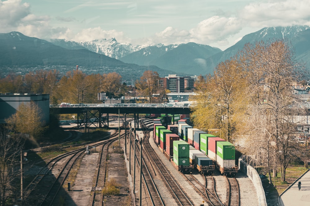 a train traveling down train tracks next to a lush green forest