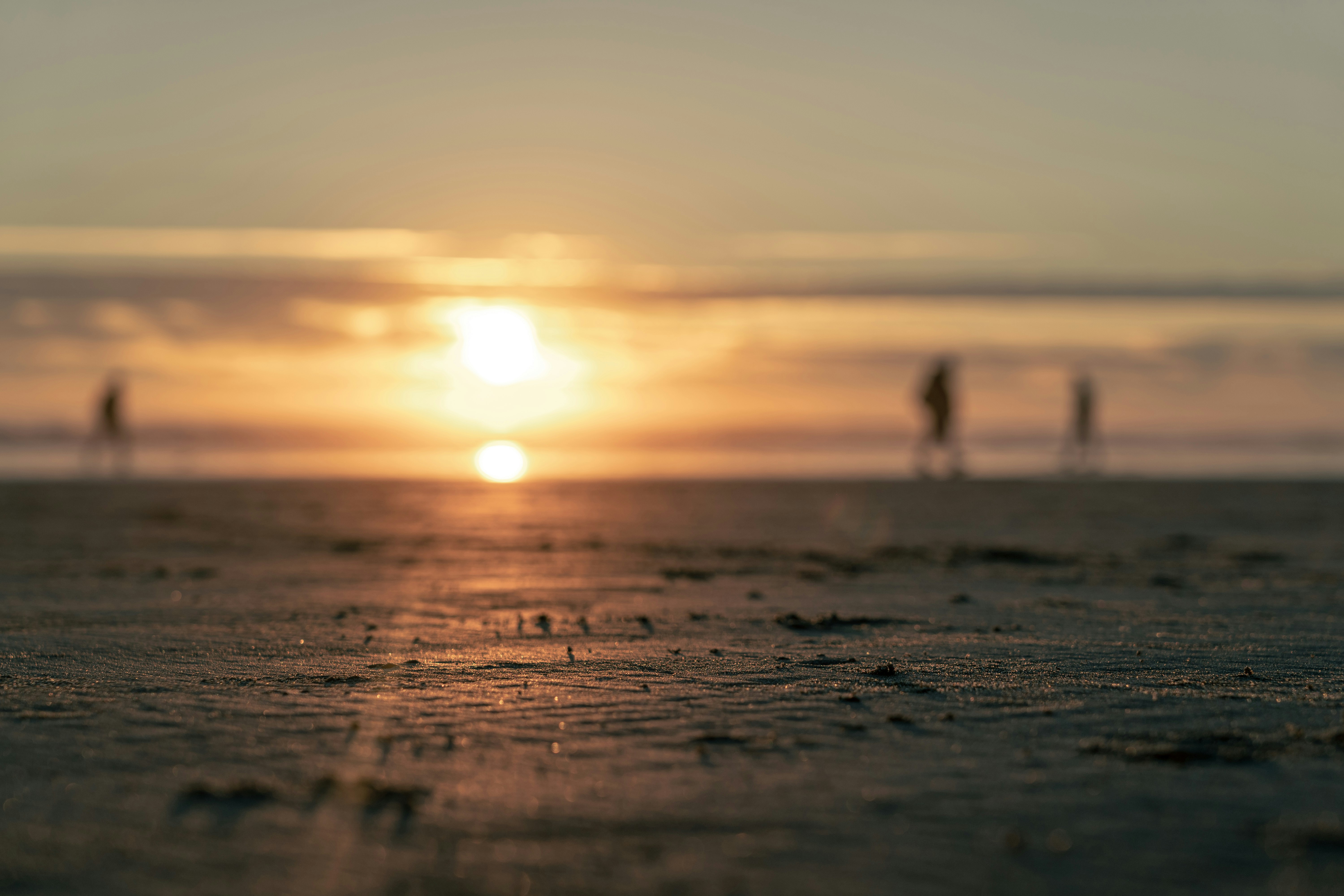 Photo by sachin_sandhu