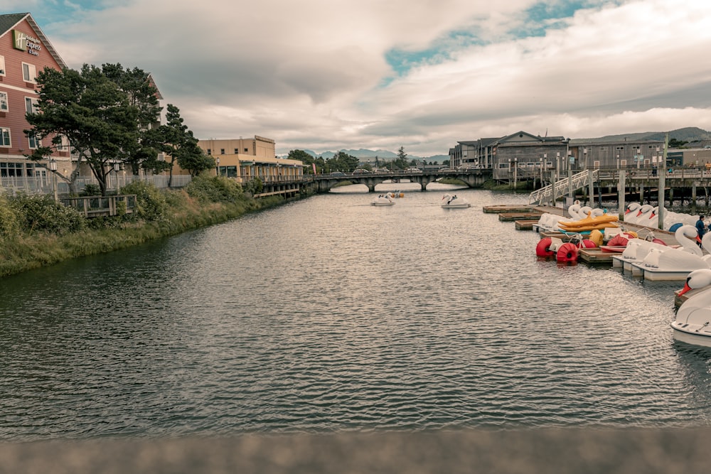 a body of water filled with lots of boats